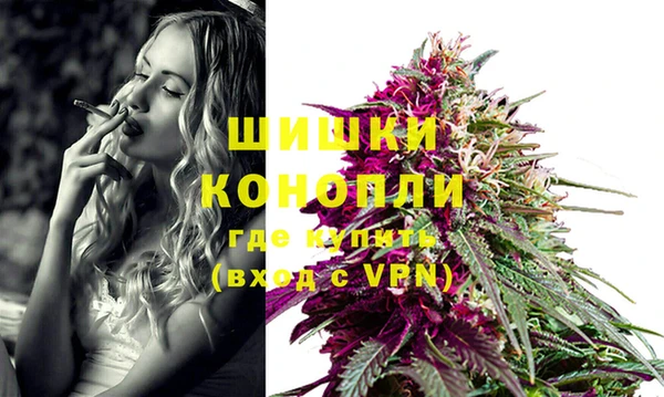 бошки Белокуриха